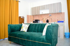 cosy studio Apartment in Ruaka